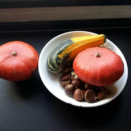 Appartement La Quiete Degli Dei *